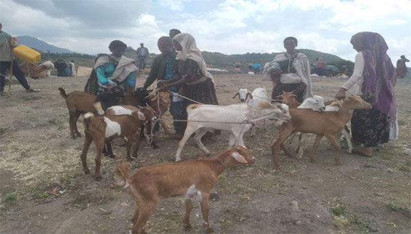 Beneficiaries purchasing Goats/ sheep